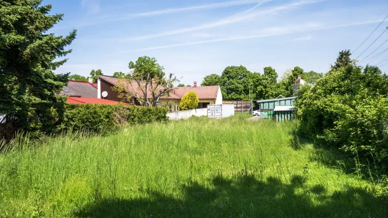 Grünes Grundstück mit hohem Gras und umliegenden Häusern unter blauem Himmel.