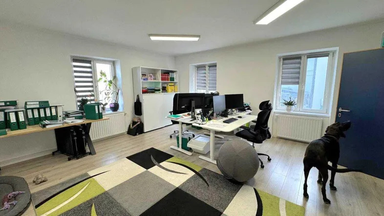 Helles Büro mit mehreren Arbeitsplätzen, modernem Teppich und Holzboden für produktives Arbeiten.