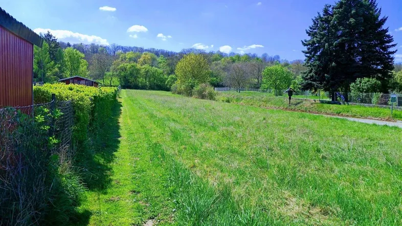 Weitläufiges grünes Feld unter blauem Himmel, umgeben von Bäumen und ländlicher Vegetation.