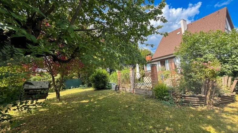 Großer, gepflegter Garten mit altem Baumbestand und viel Grünfläche hinter dem Haus.