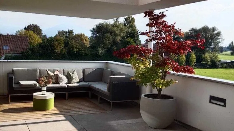 Moderne Terrasse mit bequemen Lounge-Möbeln, Pflanzen und Blick ins Grüne unter einem Überdach.