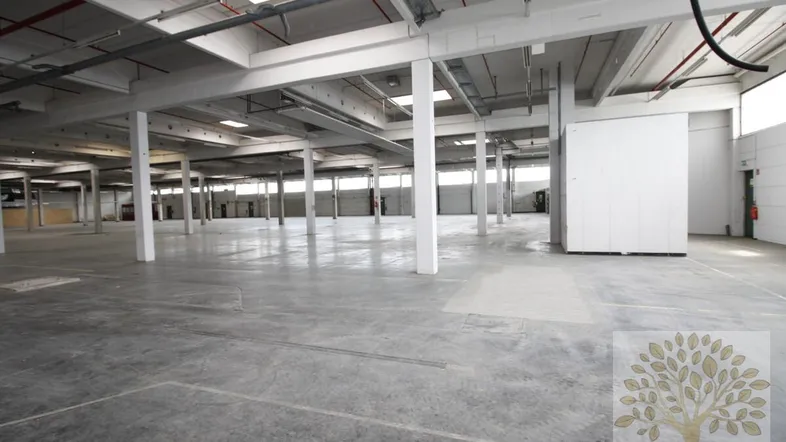 Geräumige Industriehalle mit Betonboden, weißen Stützen und sichtbaren Deckeninstallationen sowie Oberlichtern.