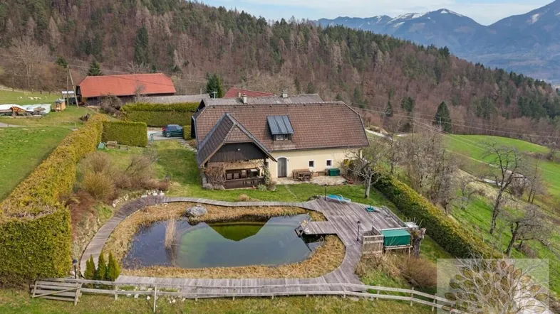 Luftaufnahme eines Hauses mit Teich, Holzsteg und umgebender grüner Landschaft.