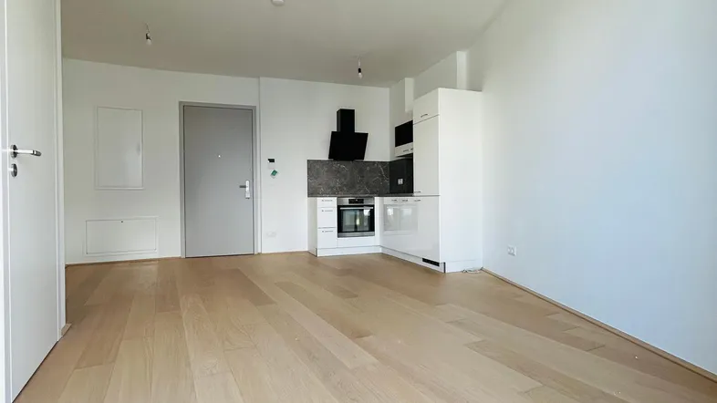 Geräumiger Wohnbereich mit Holzboden und moderner Küchenzeile, ideal für offenes Wohnen.