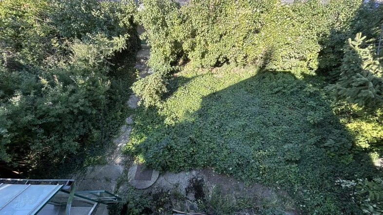 Blick von oben auf den verwilderten Gartenbereich mit viel Grün und einer kleinen Treppe.