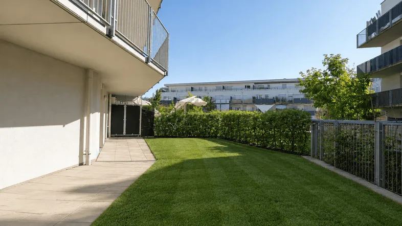 Grüner Gartenbereich mit Rasenfläche und Hecke vor einem modernen Wohngebäude.