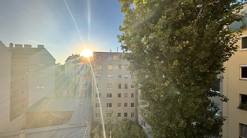 Sonniger Ausblick über städtische Gebäude und grüne Bäume bei klarem Himmel.
