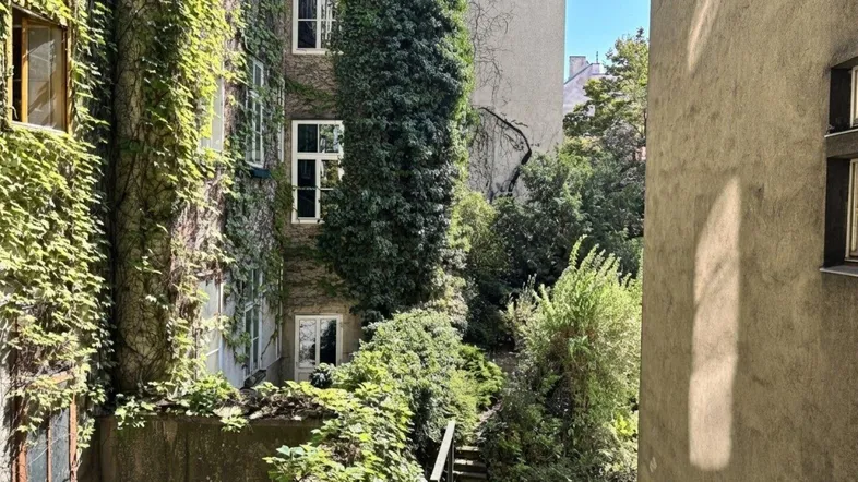 Sonniger Innenhof mit üppigem Efeu an den Fassaden und einem Treppenabgang.