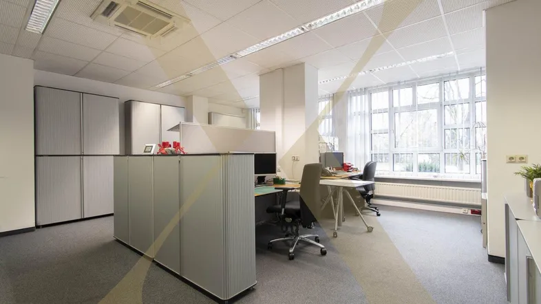 Großes, helles Büro mit mehreren Arbeitsplätzen, Teppichboden und großen Fenstern, die viel Tageslicht hereinlassen.
