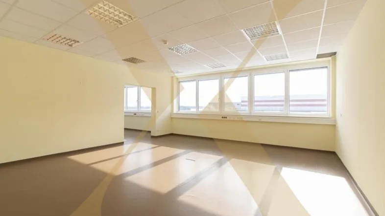 Geräumiges, leeres Büro mit großen Fenstern, die viel Tageslicht hereinlassen und einem hellbraunen Boden.