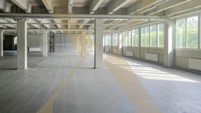 Großer, leerer Industrieraum mit Betonboden und vielen Fenstern, die viel Tageslicht hereinlassen.