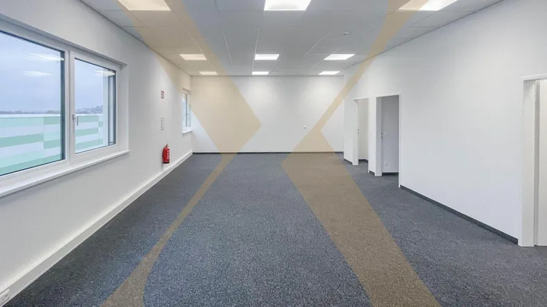Geräumiger, leerer Büroraum mit Teppichboden, großen Fenstern und moderner Deckenbeleuchtung.