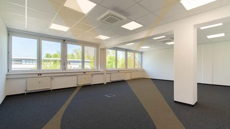 Geräumiges und helles Büro mit großen Fenstern, Teppichboden und moderner Deckenbeleuchtung, ideal für Arbeitsbereiche.