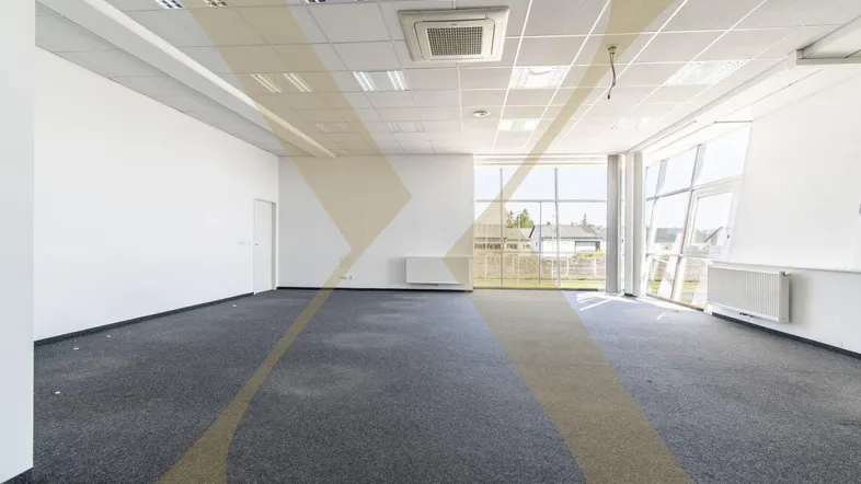 Großer, heller Büroraum mit Teppichboden, Rasterdecke und großen Fenstern, die viel Tageslicht hereinlassen.