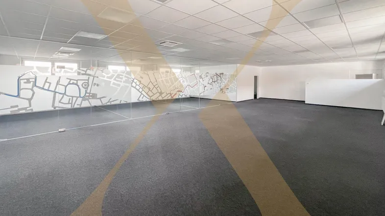 Großer, offener Büroraum mit Teppichboden, Glaswänden und viel Tageslicht.