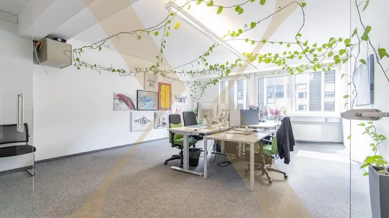 Helles Büro mit mehreren Arbeitsplätzen, großen Fenstern und dekorativen Pflanzenranken an der Decke.