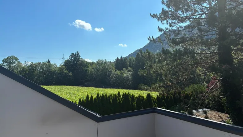 Blick von einem Balkon auf eine grüne Landschaft mit Bäumen und einem Weinberg im Hintergrund.