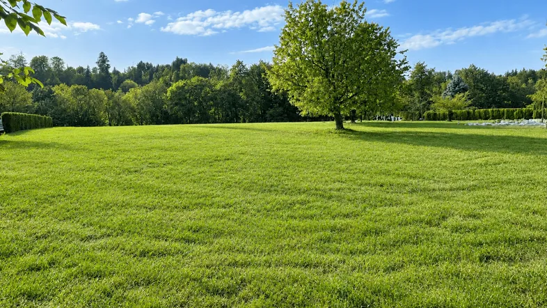 Ansicht West