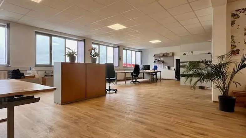 Geräumiges Großraumbüro mit großen Fenstern, Laminatboden und abgehängter Decke, gut beleuchtet.