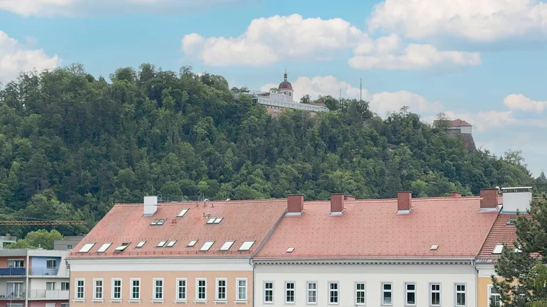 Blick über die Dächer der Stadt auf einen bewaldeten Hügel mit einem historischen Gebäude.