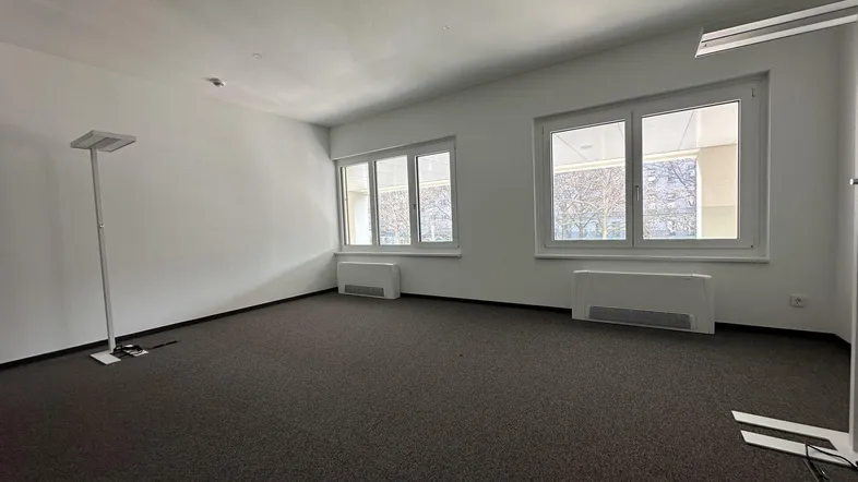 Leerer Büroraum mit Teppichboden, weißen Wänden und zwei großen Fenstern für natürliches Licht.