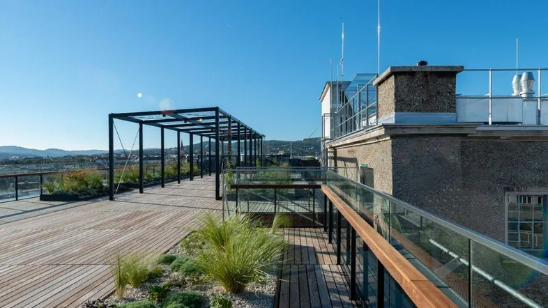 Sonnige Dachterrasse mit Holzbelag, modernen Pflanzbeeten und einer Pergola-Struktur unter blauem Himmel.