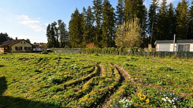Grüne Wiese mit Spuren im Gras, umgeben von Bäumen und Häusern unter blauem Himmel.
