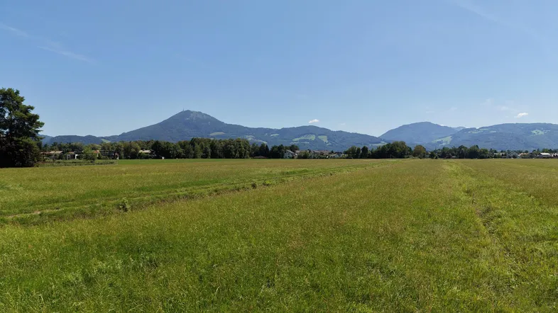 Weitläufiges grünes Feld mit malerischem Bergblick unter klarem blauem Himmel.