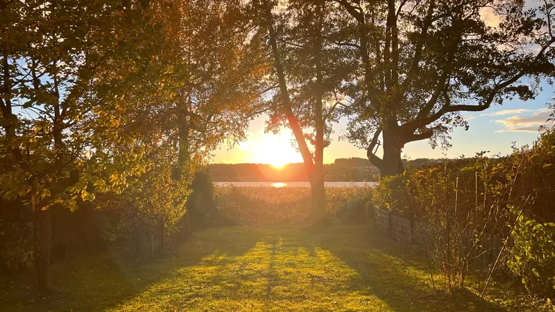 Malerischer Sonnenuntergang über dem See, gesehen von einem grünen Gartenbereich mit Bäumen.