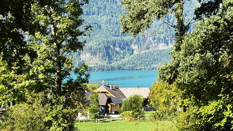 Blick durch Bäume auf einen malerischen See, umgeben von Bergen und vereinzelten Häusern.