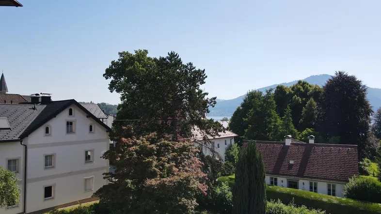 Blick auf umliegende Gebäude, grüne Bäume und einen See mit Bergen im Hintergrund unter blauem Himmel.