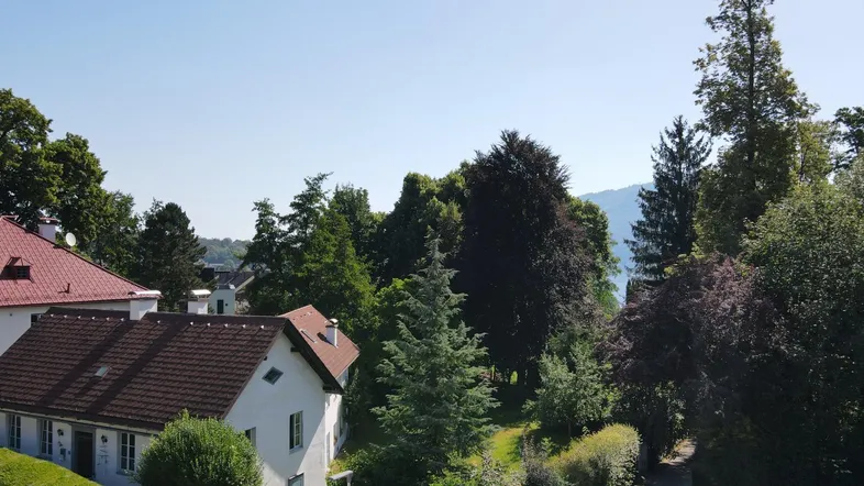 Blick auf grüne Bäume, Häuser mit roten Dächern und einen klaren blauen Himmel.