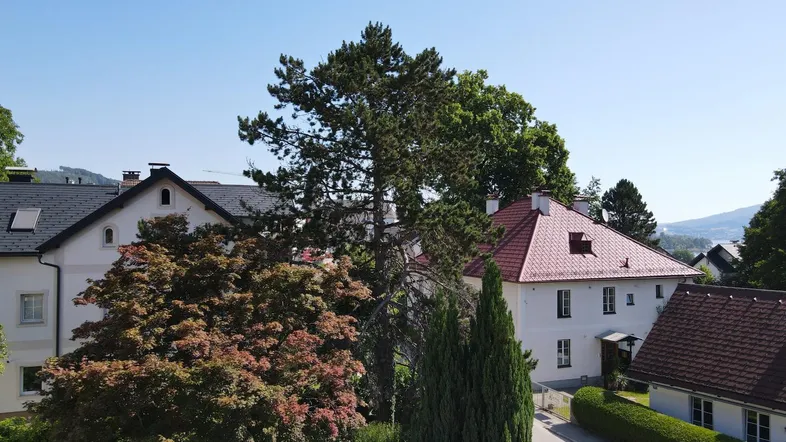 Panoramablick auf traditionelle Häuser mit roten Dächern und üppiger grüner Vegetation unter blauem Himmel.