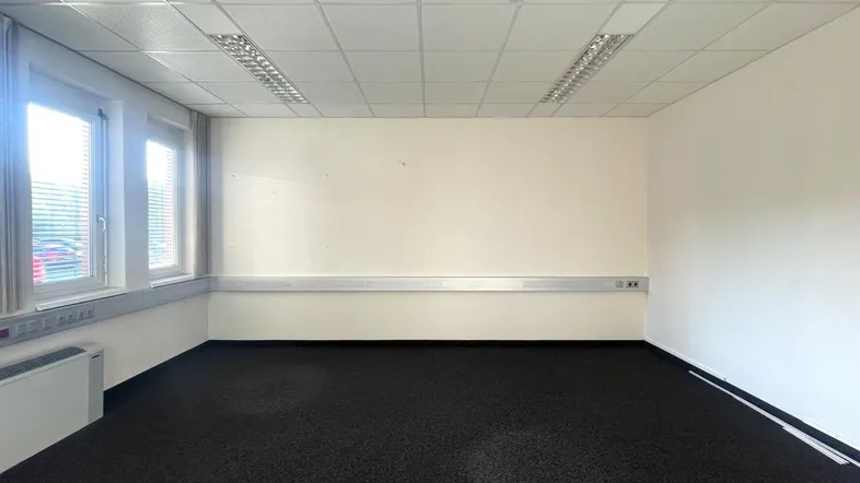 Heller Büroraum mit Teppichboden, abgehängter Decke und großen Fenstern, ideal für Arbeitsplätze.