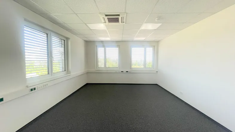 Helles, leeres Büro mit Teppichboden, großen Fenstern und Deckenbeleuchtung, bereit zur Einrichtung.
