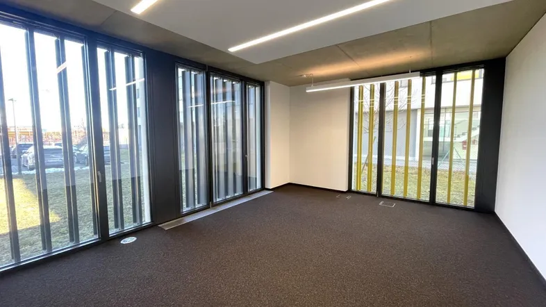 Geräumiges, leeres Büro mit großen Fenstern, Teppichboden und moderner Deckenbeleuchtung.