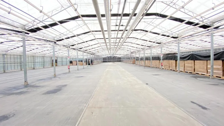 Geräumige, leere Industriehalle mit hoher Decke und viel Tageslicht durch das transluzente Dach.