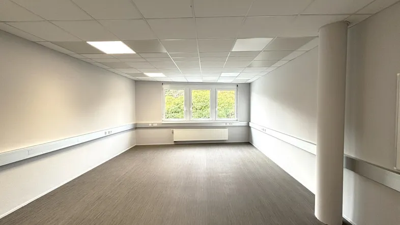 Geräumiges und helles Büro mit großen Fenstern, abgehängter Decke und modernem Vinylboden.