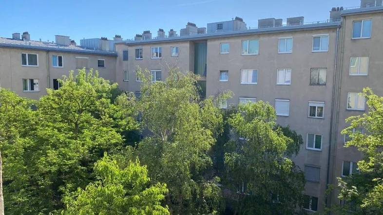 Blick auf die grüne Umgebung und die Fassade eines Mehrfamilienhauses an einem sonnigen Tag.