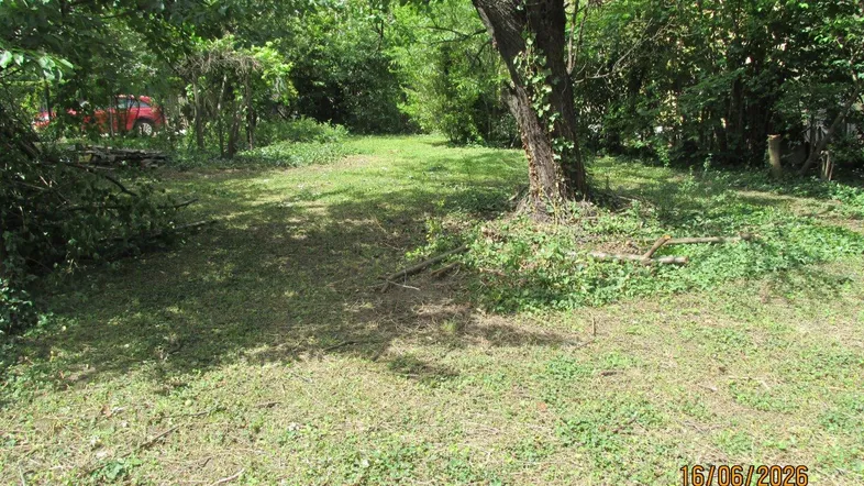Ungepflegter Gartenbereich mit Bäumen und Grasfläche, bereit zur Neugestaltung und Pflege.