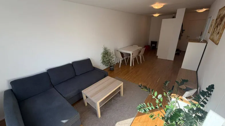 Heller offener Wohn- und Essbereich mit Parkettboden, modernem Sofa und Esstisch.