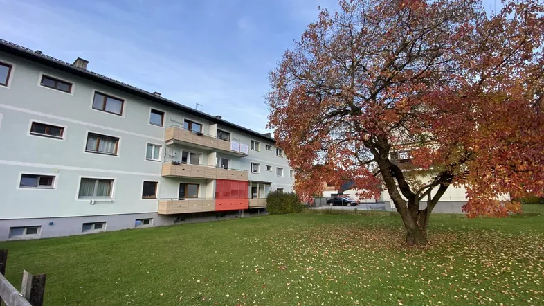 Mehrfamilienhaus mit grüner Fassade, umgeben von einer Rasenfläche und einem Baum mit Herbstlaub.