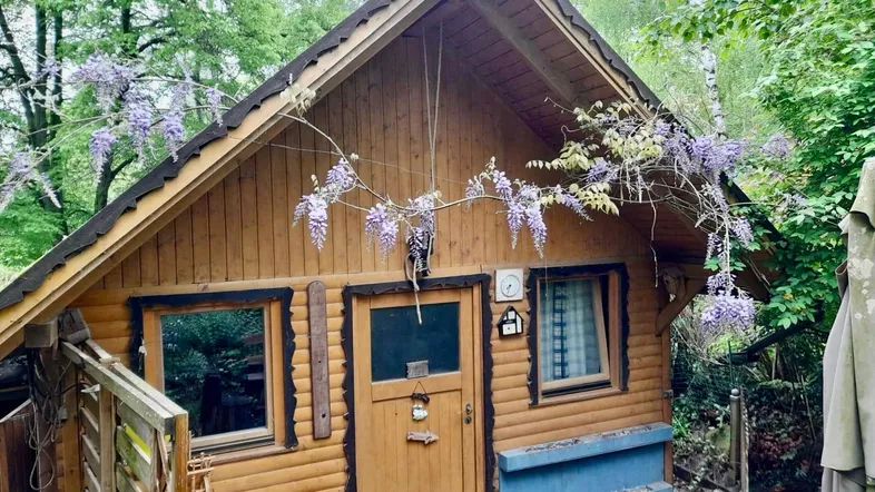 Charmantes Holzhaus mit Giebeldach und blühendem Blauregen, umgeben von viel Grün.