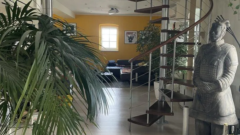 Geräumiger Eingangsbereich mit eleganter Wendeltreppe, Pflanzen und Blick in den Wohnbereich.