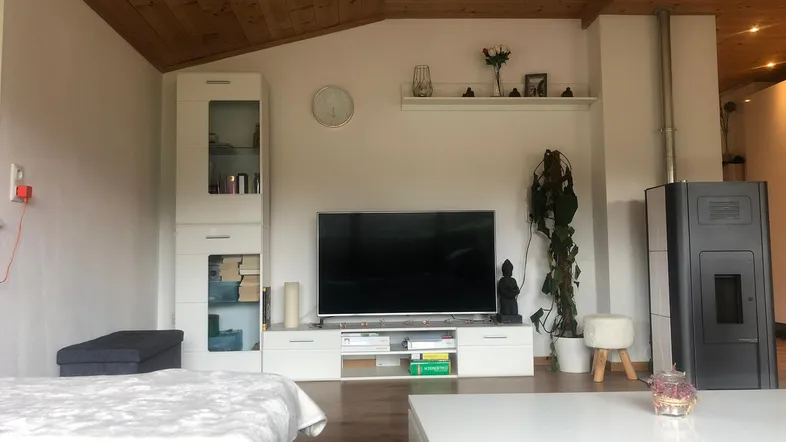 Gemütliches Wohnzimmer mit Holzbalkendecke, modernem Ofen und weißem Couchtisch für entspannte Abende.