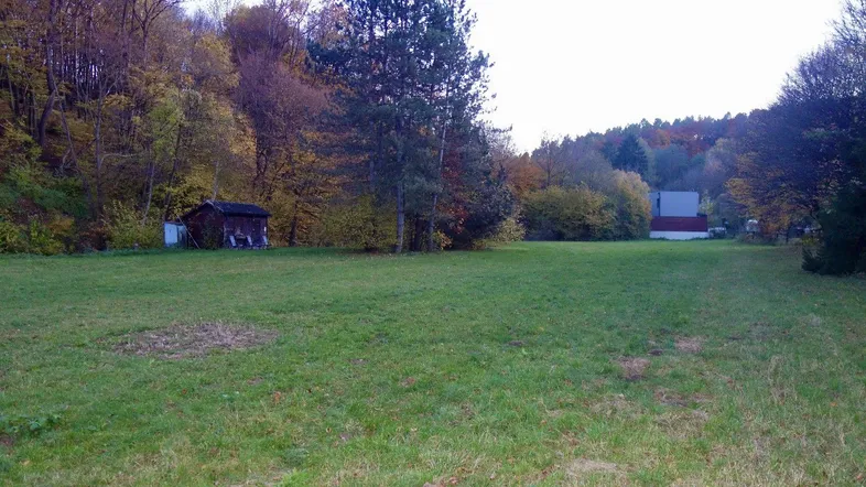 Weitläufige Grünfläche umgeben von Bäumen und einem kleinen Schuppen im Herbst.