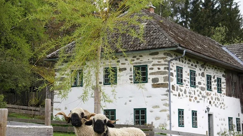 Traditionelles Bauernhaus mit Stein- und Putzfassade, umgeben von Natur und Tieren in ländlicher Umgebung.