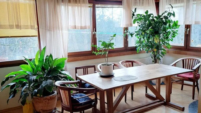 Heller Essbereich mit Holztisch, vielen Fenstern und Pflanzen, ideal für gemütliche Mahlzeiten.