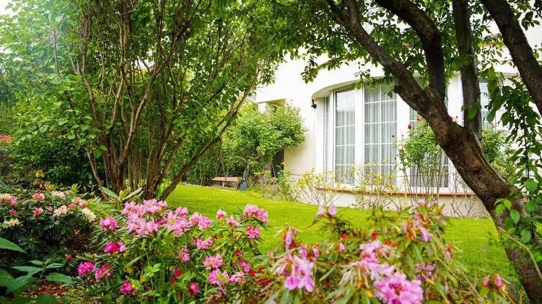 Gepflegter Garten mit blühenden Rhododendren und Blick auf die Hausfassade mit großen Fenstern.