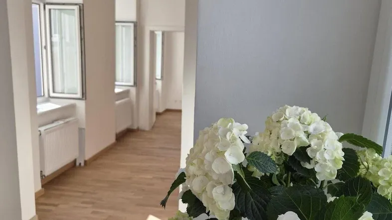 Heller Flur mit Holzboden und Blick in weitere Räume, dekoriert mit einer weißen Hortensie.